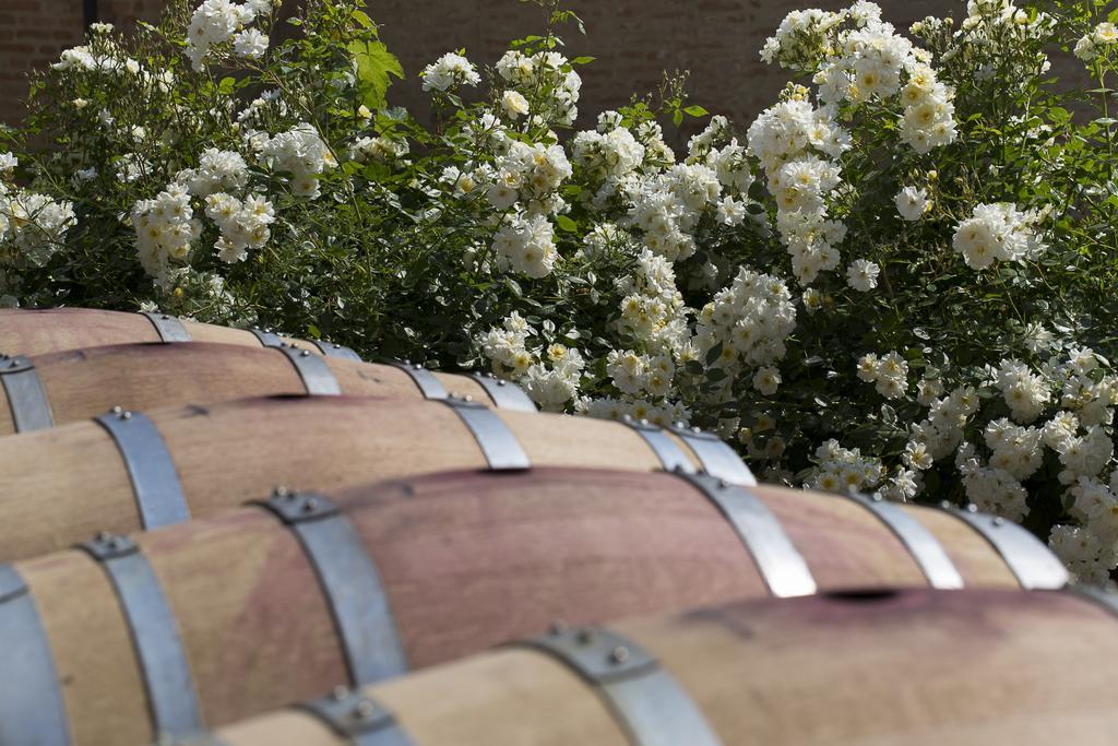 Marchesi Alfieri - Cantine E Ospitalita San Martino Alfieri Buitenkant foto