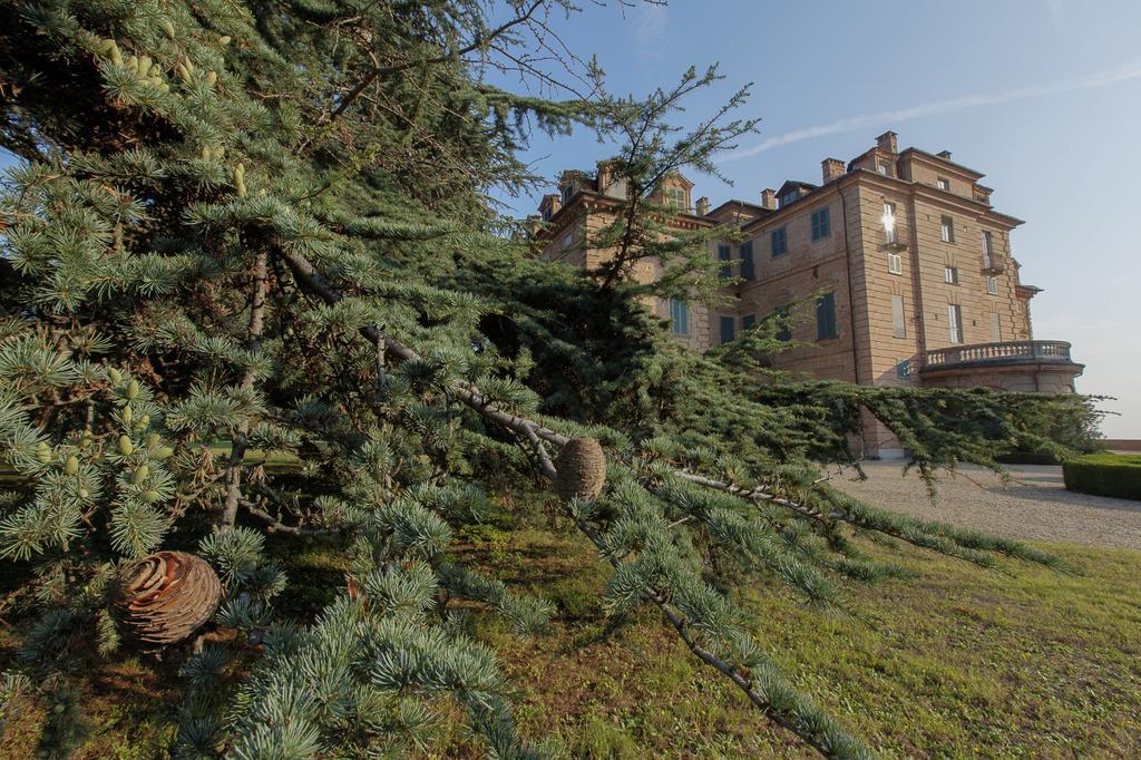 Marchesi Alfieri - Cantine E Ospitalita San Martino Alfieri Buitenkant foto